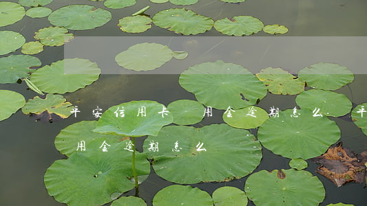 平安信用卡靈用金逾期怎么辦(平安信用卡靈用金逾期怎么辦)