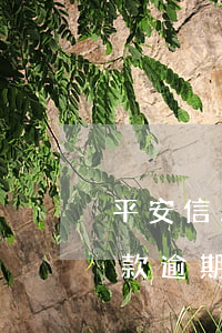 平安信用卡額度逾期了會打通訊(平安銀行貸款逾期會不會影響信用卡額度)