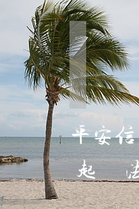 平安信用貸款逾期被起訴(平安銀行貸款逾期起訴法院怎么辦?)
