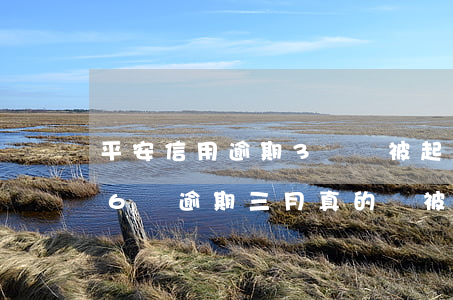 平安信用逾期3萬會被起訴嗎(平安銀行欠款6萬逾期三月真的會被起訴嗎?)