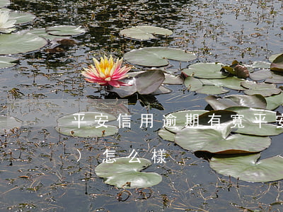 平安信用逾期有寬 平安信貸逾期會(huì)怎么樣