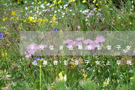 平安信貸逾期會影響子女上學嗎-平安信貸逾期會影響子女上學嗎知乎