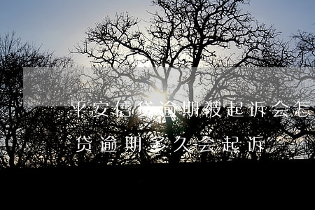 平安信贷逾期被起诉会怎么样上海(平安抵押贷逾期多久会起诉)