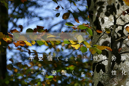 平安個(gè)性化分期一般多久能談下來-平安個(gè)性化分期一般多久能談下來啊
