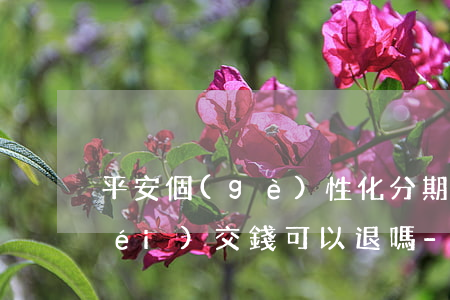 平安個(gè)性化分期簽了合同但沒(méi)交錢可以退嗎-平安銀行個(gè)性化分期有誠(chéng)意金嗎