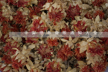 平安停息掛賬通知大全-平安 停業(yè)