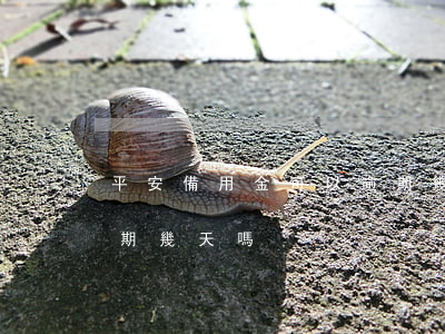 平安備用金可以逾期幾天(平安備用金可以逾期幾天嗎)