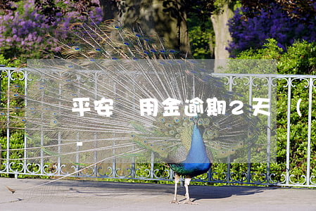 平安備用金逾期2天會(huì)上征信嗎-