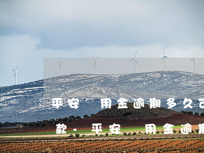 平安備用金逾期多久可以協(xié)商還款-平安備用金逾期多久可以協(xié)商還款啊