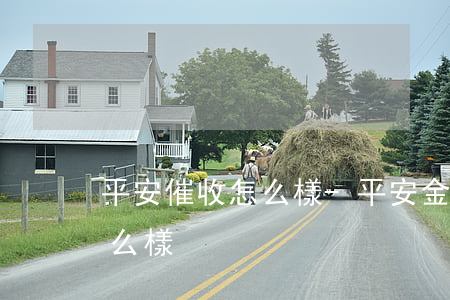 平安催收怎么樣-平安金服催收客服工作怎么樣