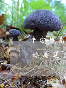 平安协商还款后多出来的钱怎么处理-平安协商还款终于成功了