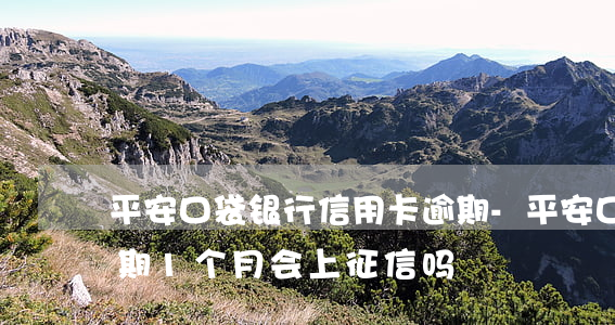 平安口袋银行信用卡逾期-平安口袋银行逾期1个月会上征信吗?