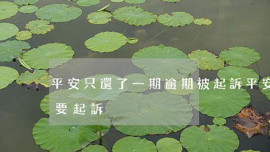 平安只還了一期逾期被起訴(平安逾期兩個月要起訴)