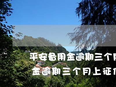 平安备用金逾期三个月上征信吗-平安备用金逾期三个月上征信吗有影响吗