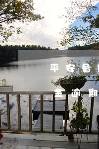 平安备用金逾期却显示已经入账-平安备用金逾期却显示已经入账怎么办
