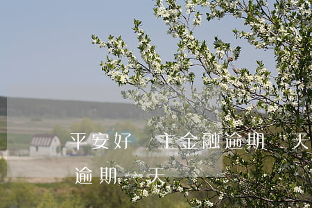 平安好車主金融逾期幾天會起訴(平安車主貸逾期一天)