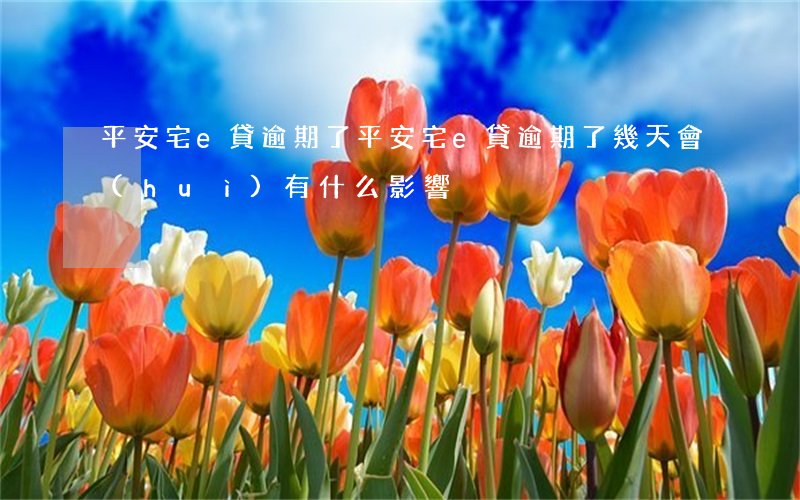 平安宅e貸逾期了(平安宅e貸逾期了幾天會(huì)有什么影響)