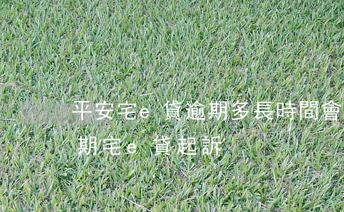 平安宅e貸逾期多長時間會起訴(平安普惠逾期宅e貸起訴)