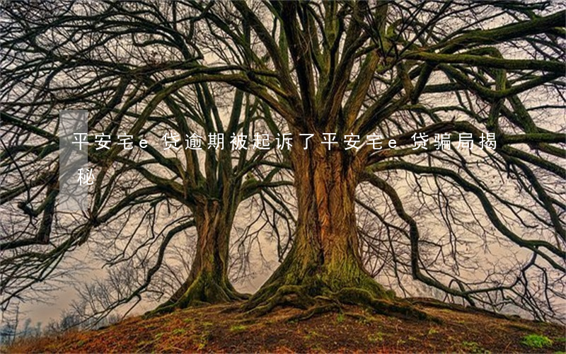 平安宅e贷逾期被起诉了(平安宅e贷骗局揭秘)