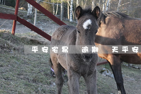 平安宅易貸逾期幾天(平安銀行宅易貸怎么樣)