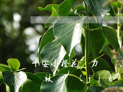 平安小橙花無力償還怎么處理(平安小橙花賬戶被凍結(jié))