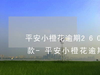 平安小橙花逾期260天協(xié)商還款-平安小橙花逾期能協(xié)商嗎