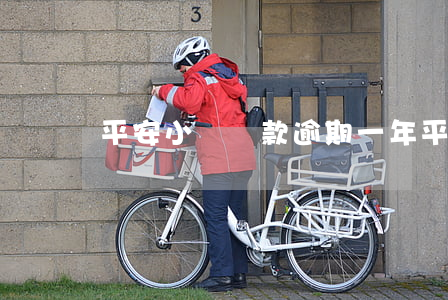 平安小額貸款逾期一年(平安i貸 逾期 2年)