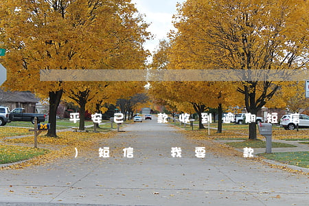 平安已還款收到逾期短信(中國平安發(fā)短信說我要還款)