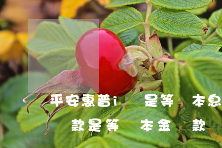 平安惠普i貸是等額本息還款嗎-平安普惠貸款是等額本金還款嗎