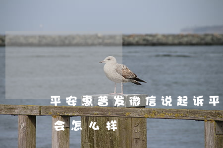 平安惠普发微信说起诉(平安普惠发起诉讼了会怎么样)
