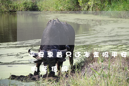 平安惠普只还本金吗(平安普惠只还本金会影响征信吗)