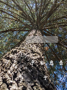 平安惠普欠網(wǎng)貸名單(平安普惠屬于網(wǎng)貸黑名單嗎)