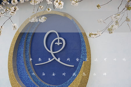 平安惠普网贷不还可以吗(平安普惠贷还不了以后会对我怎么样)