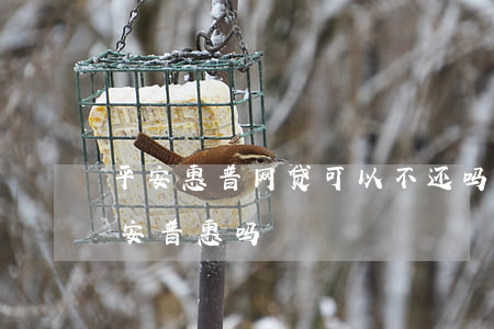 平安惠普网贷可以不还吗(有网贷还能申请平安普惠吗)