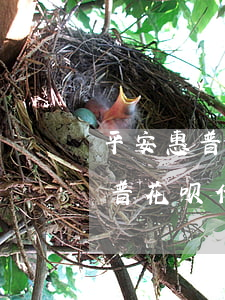 平安惠普花呗借呗全部逾期怎么办-平安惠普花呗借呗全部逾期怎么办啊