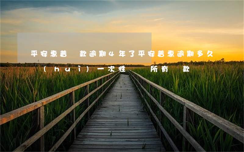平安惠普貸款逾期4年了(平安普惠逾期多久會(huì)一次性償還所有貸款)