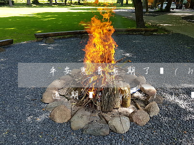 平安惠普逾期了會(huì)怎樣(平安惠普逾期沒(méi)還,被代償了后果嚴(yán)重嗎)