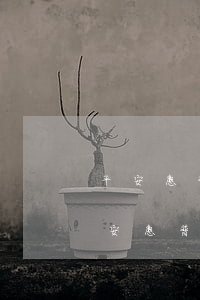 平安惠普逾期后多長時(shí)間起訴(平安惠普會(huì)起訴嗎)
