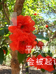 平安惠普逾期要起诉怎么办(平安普惠逾期了会被起诉吗)