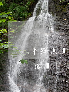 平安惠譜貸款還不起-平安普惠還不起上征信嗎