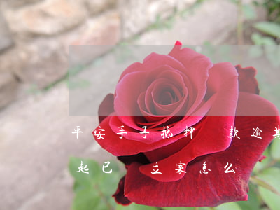 平安手子抵押貸款逾期(欠平安銀行貸款還不起,已經立案怎么辦)