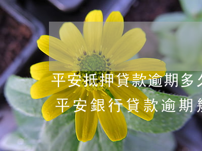 平安抵押貸款逾期多久會(huì)被起訴(平安銀行貸款逾期幾個(gè)月會(huì)被起訴?)
