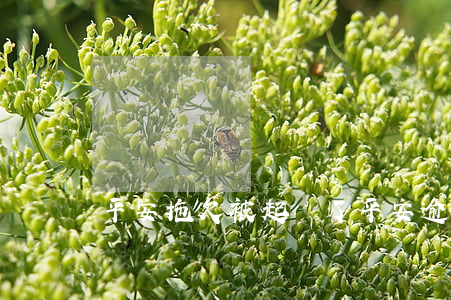 平安拖欠被起訴了（平安逾期說法院立案）