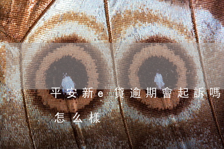 平安新e貸逾期會起訴嗎(平安e貸不還款會怎么樣)