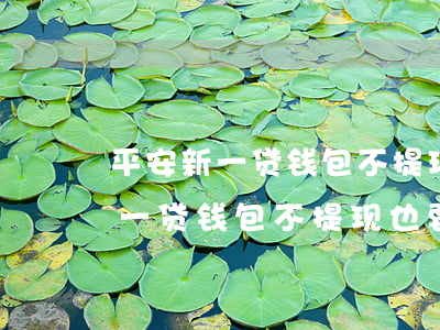 平安新一贷钱包不提现也要还款吗-平安新一贷钱包不提现也要还款吗安全吗