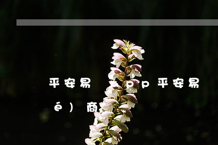 平安易貸app(平安易貸逾期怎么協(xié)商)