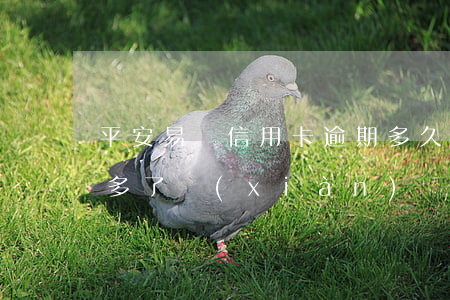 平安易貸信用卡逾期多久(平安易貸逾期四年多了現(xiàn)協(xié)商還款還會(huì)被起訴嗎)