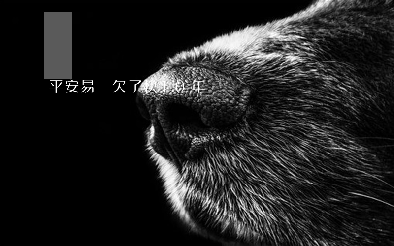 平安易貸欠了快10年