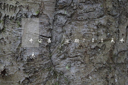 平安易貸逾期700天 平安易貸逾期700天