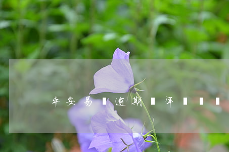 平安易貸逾期兩年沒錢還(平安易貸幾年失效)